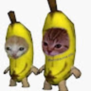 Meet your Posher, Ichbineinkek